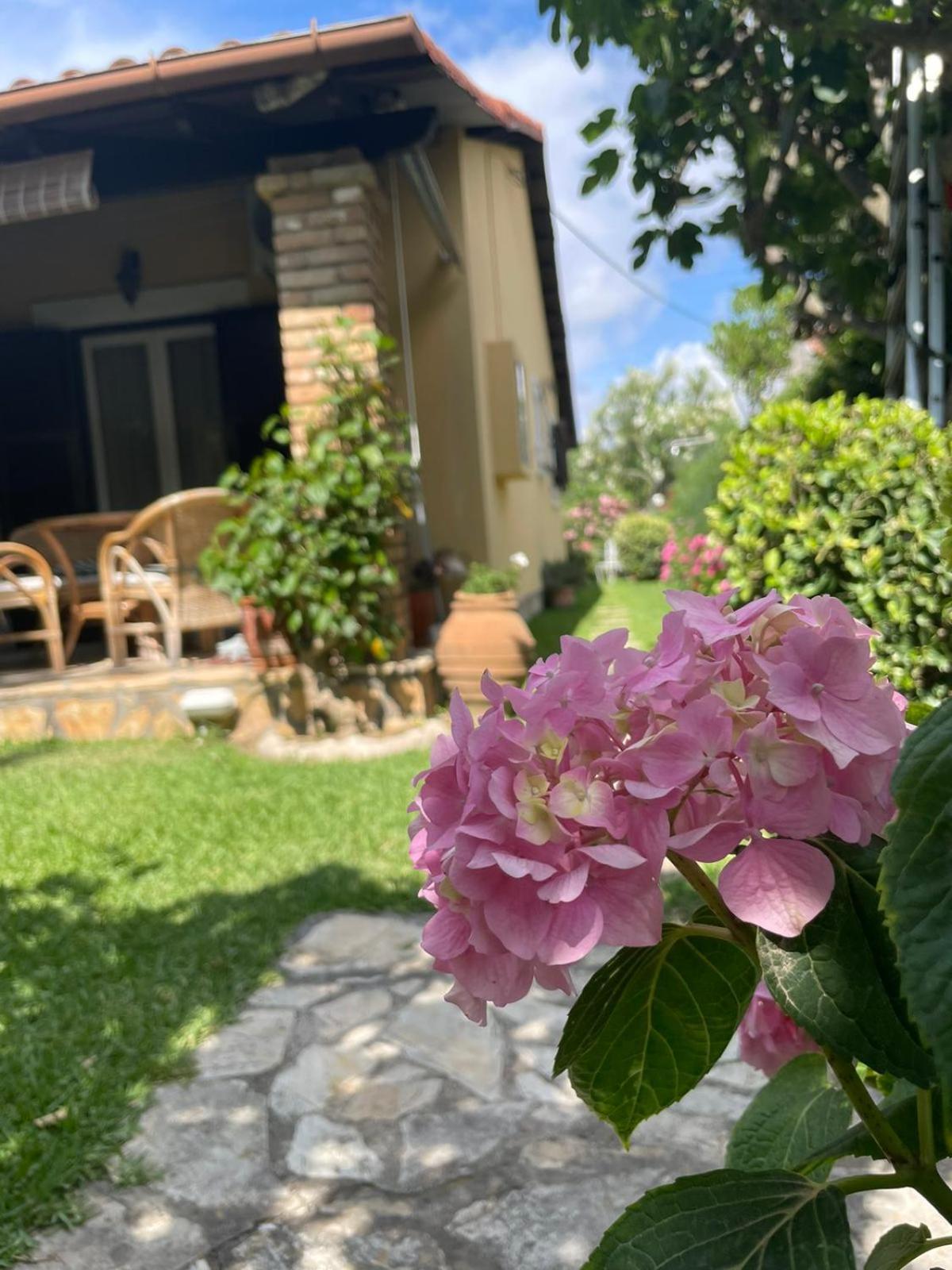 Villa Tina Country Beach Apartments Acharavi  Zimmer foto