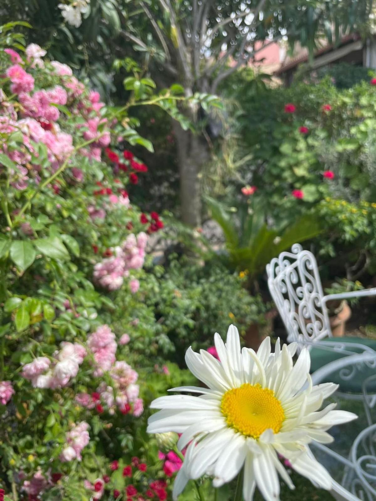 Villa Tina Country Beach Apartments Acharavi  Zimmer foto