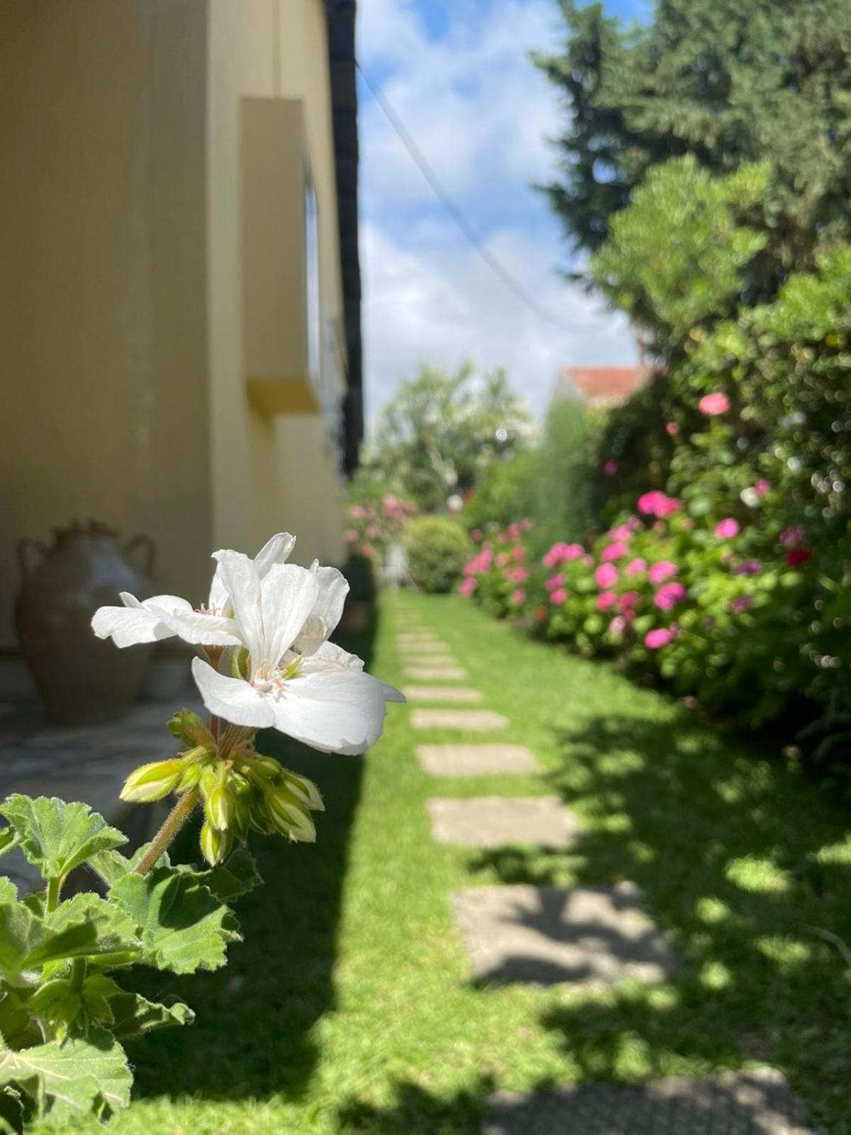Villa Tina Country Beach Apartments Acharavi  Zimmer foto