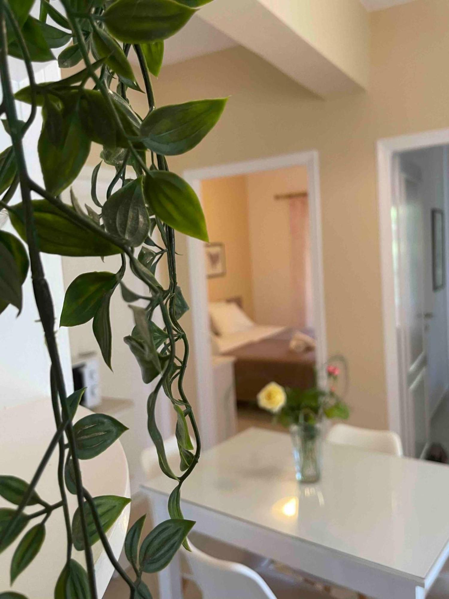 Villa Tina Country Beach Apartments Acharavi  Zimmer foto